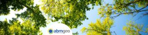 giornata nazionale degli alberi